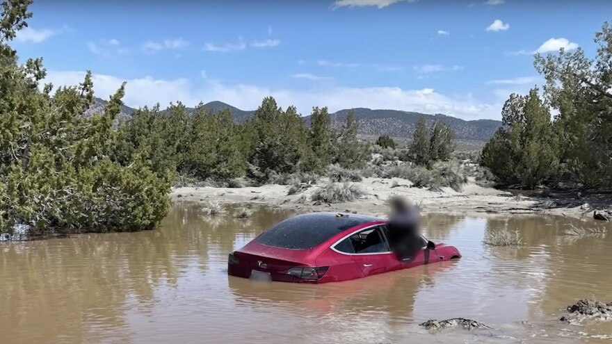 Se lasciate fare al Full Self-Driving... potreste rischiare di finire in una pozza